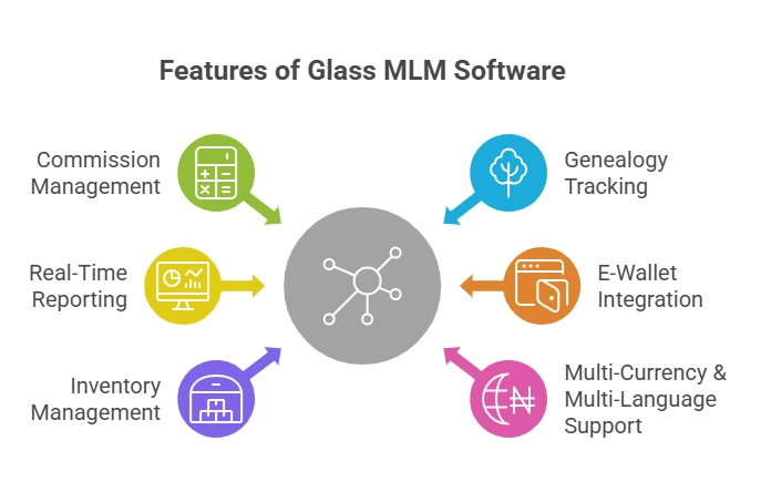 Glass MLM Software for Scalable and Efficient MLM Growth